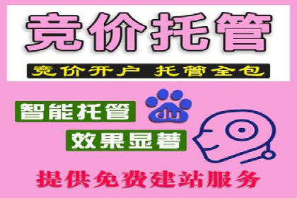 百度推广代运营公司案例：创意广告设计助力品牌崛起